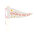 BAB1115 - Welcome Little One Pink Pennant