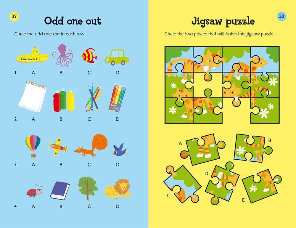 Over 80 Brain Puzzles : Usborne